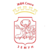 ZKF孔宏女足